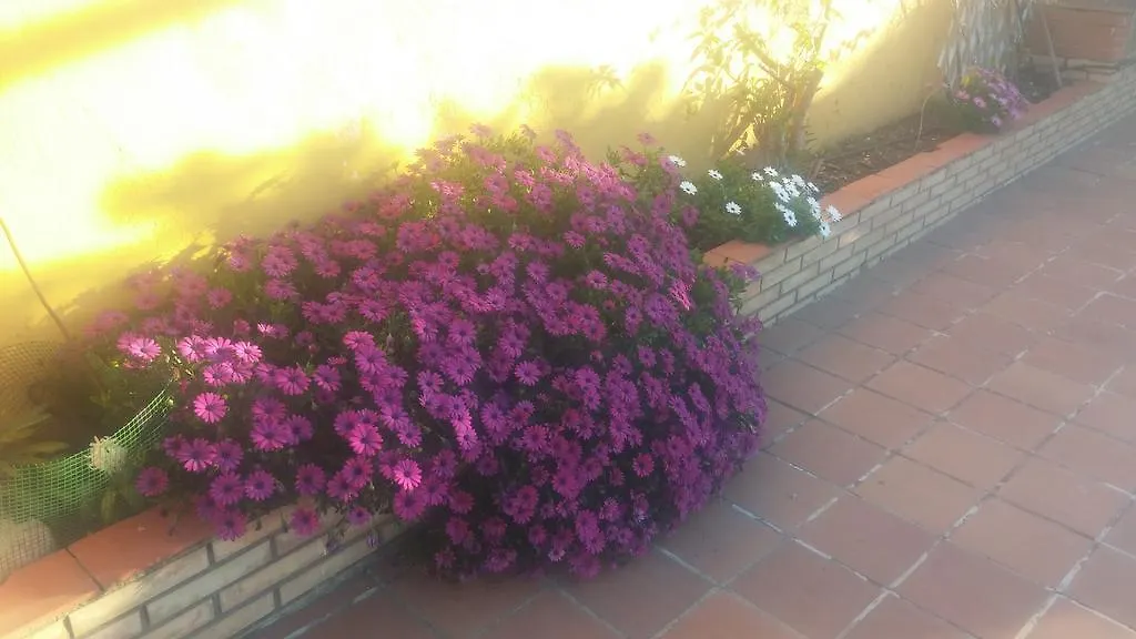 El Enganche Bed & Breakfast Cordoba Spain