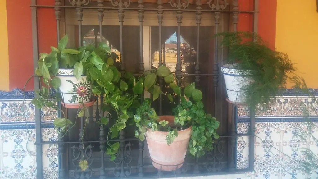 El Enganche Bed & Breakfast Cordoba 0*,  Spain